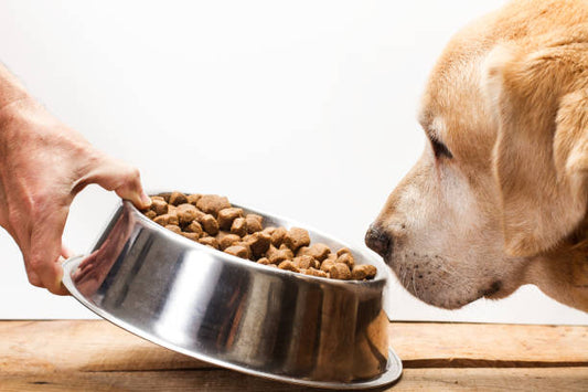 How to select the best food for your pet