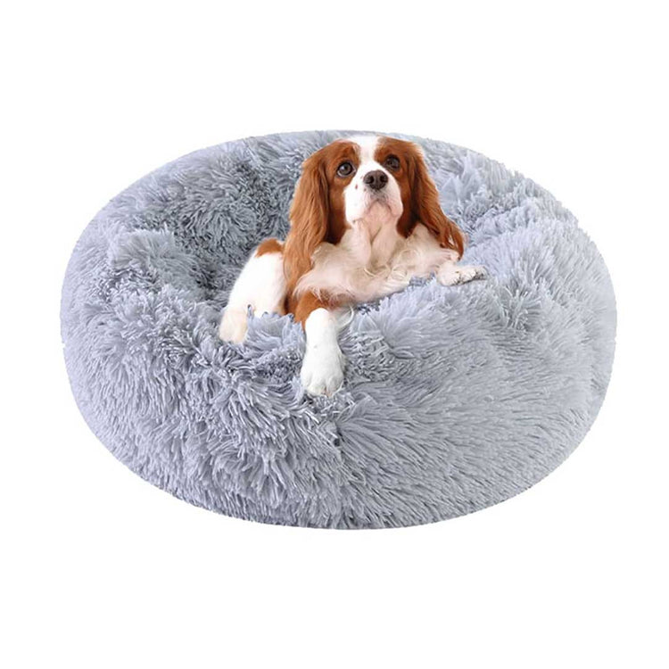 Beds For Dogs & Cats