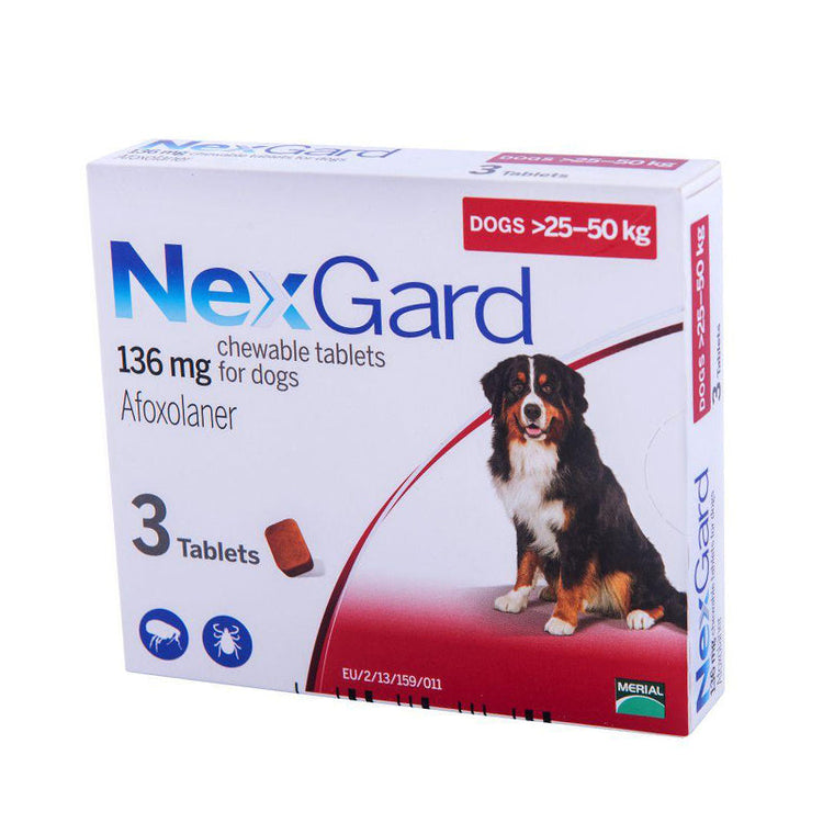 Ticks, Fleas & Medication