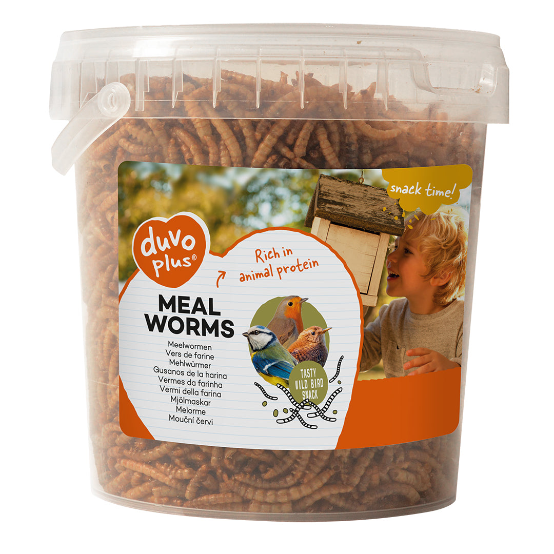 duvo plus - meal worms for wild birds 200g