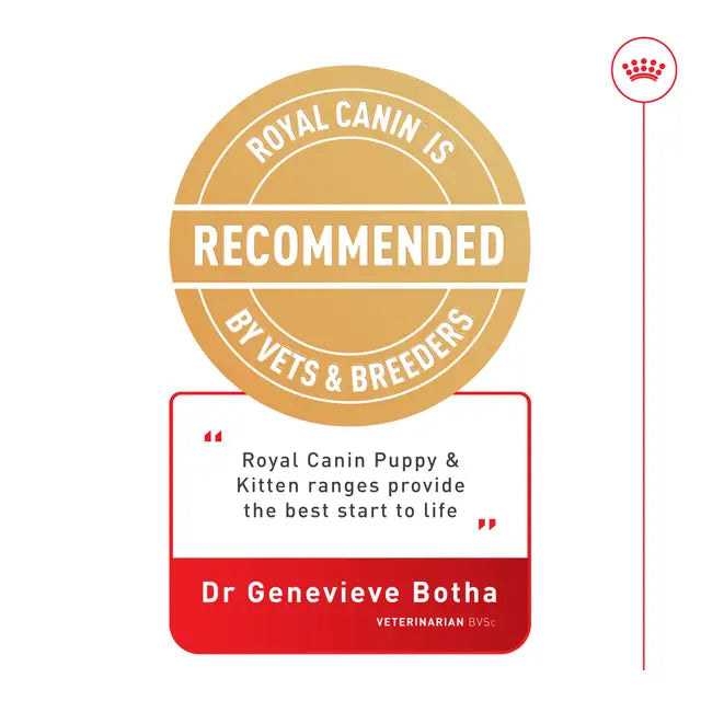 Royal Canin - dog wet food maxi puppy Chunks in Gravy (1 poush)
