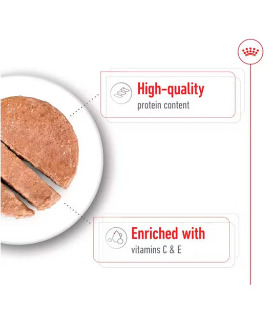 Royal canin - dog Wet Food Mini adult 410g