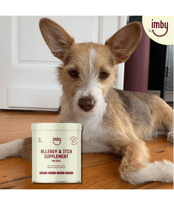 Imby - Allergy & Itch Supplement, Colostrum, Probiotics, Quercetin, Allergy Relief & Digestive Support - 90 Soft Chews