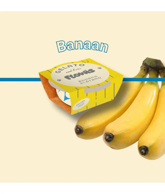 Gosbi - dog Flowis Gelato, Banana Flavor, Frozen Treat for All Dogs - 40g