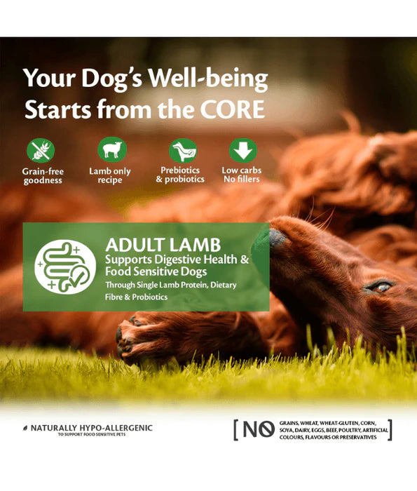 Wellness Core Adult Lamb All Breed