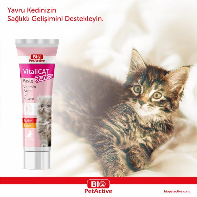 Bio petActive - Vi̇tali̇cat Paste Junior - Vitamin Pastes for Puppies & Kittens