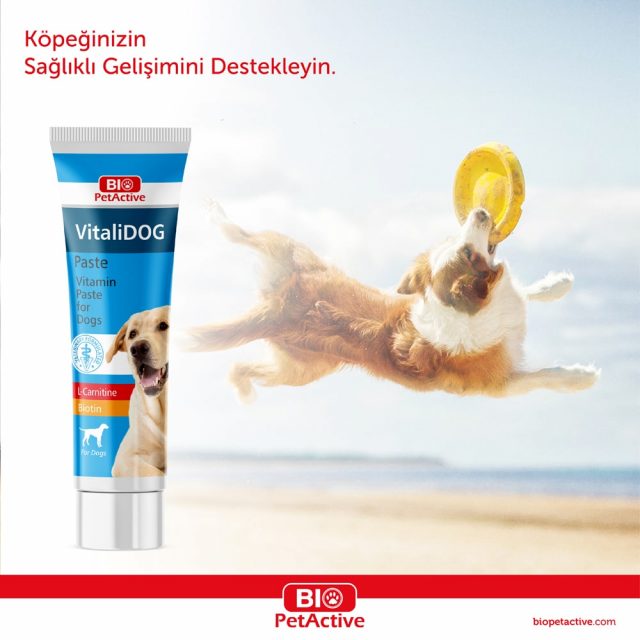 Bio PetActive - Vitalidog Paste - Multivitamin Pastes for Dogs