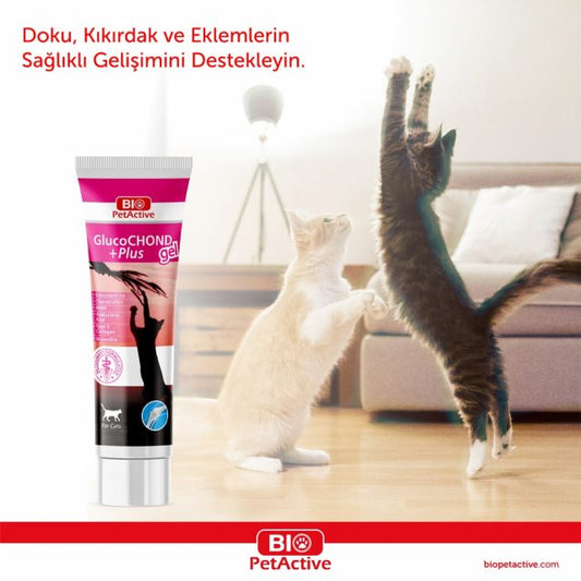 Bio PetActive - GlucoCHOND Plus Gel - Hip and Joint Support Gel for Cats