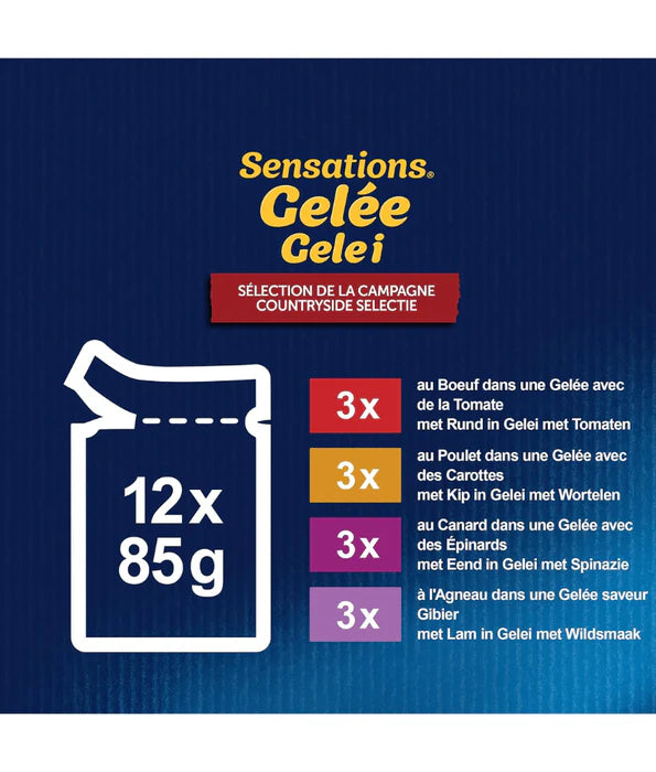 Purina Felix - cat Sensations in Jelly Adult Wet Food – Beef, Chicken, Duck & Lamb, Adult 12x85g