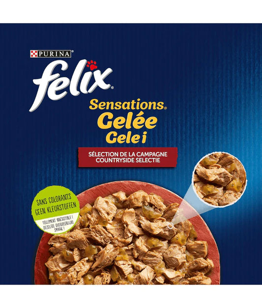 Purina Felix - cat Sensations in Jelly Adult Wet Food – Beef, Chicken, Duck & Lamb, Adult 12x85g