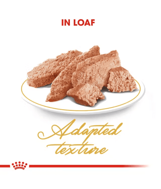 Royal Canin - cat Wet Food Adult Persian 85g