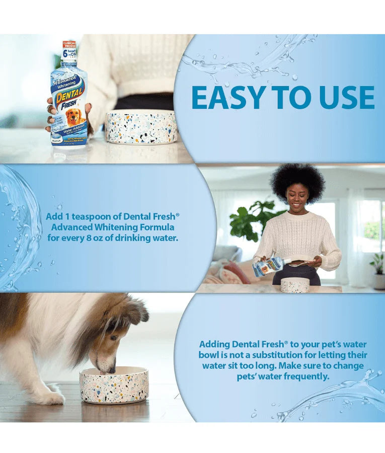 Synergy Labs - Dental Fresh, Advanced Whitening, Breath Freshening, Oral Health Support for Dogs & Cats - 500mL