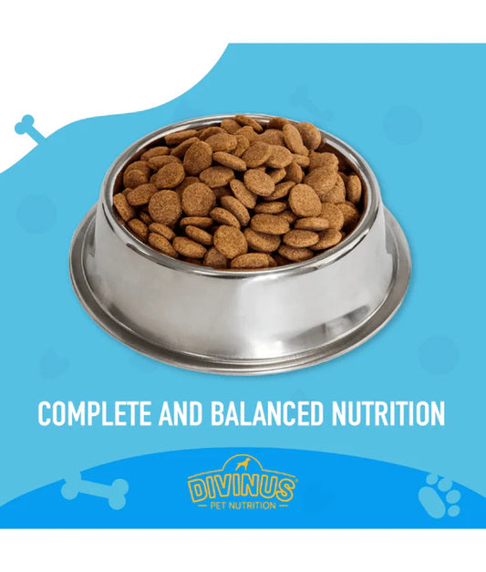 Divinus - Adult 20kg