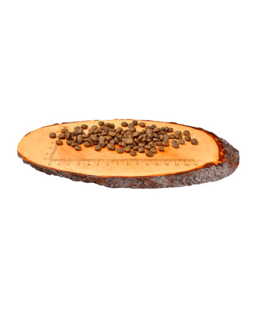 Carnilove - dog Fresh Ostrich & Lamb, Adult Dry Food For Small Breeds - 1.5kg