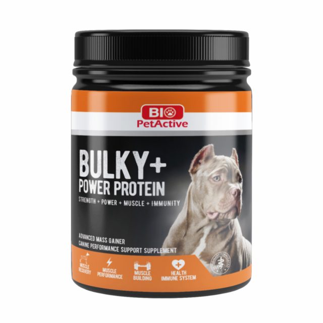 Bio petActive - Bulky+ power protein