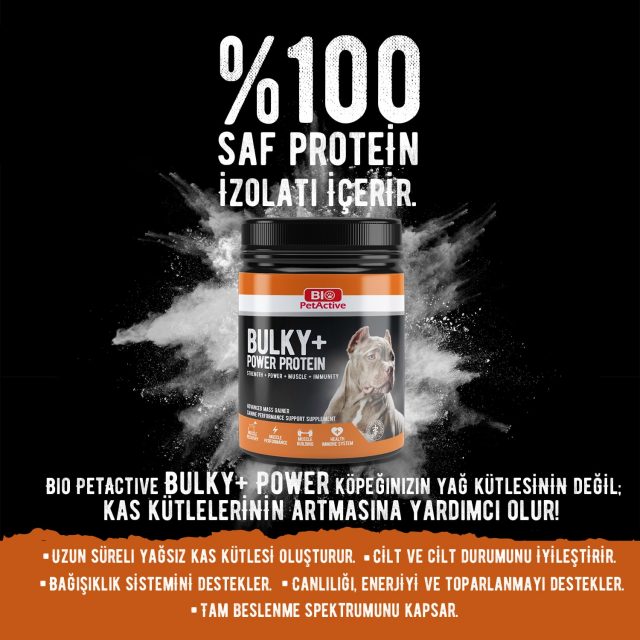 Bio petActive - Bulky+ power protein