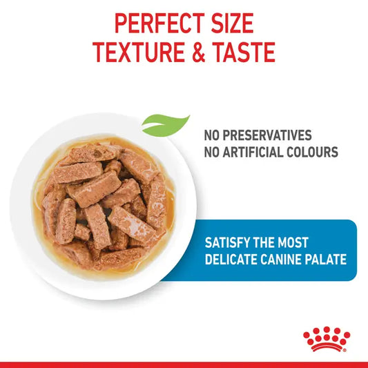 Royal Canin - dog wet food maxi puppy Chunks in Gravy