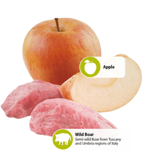 Farmina - dog N&D Wild Boar & Apple, Grain-Free, High Animal Protein, Low Glycemic, Adult All Breeds, Wet Dog Food - 285 g