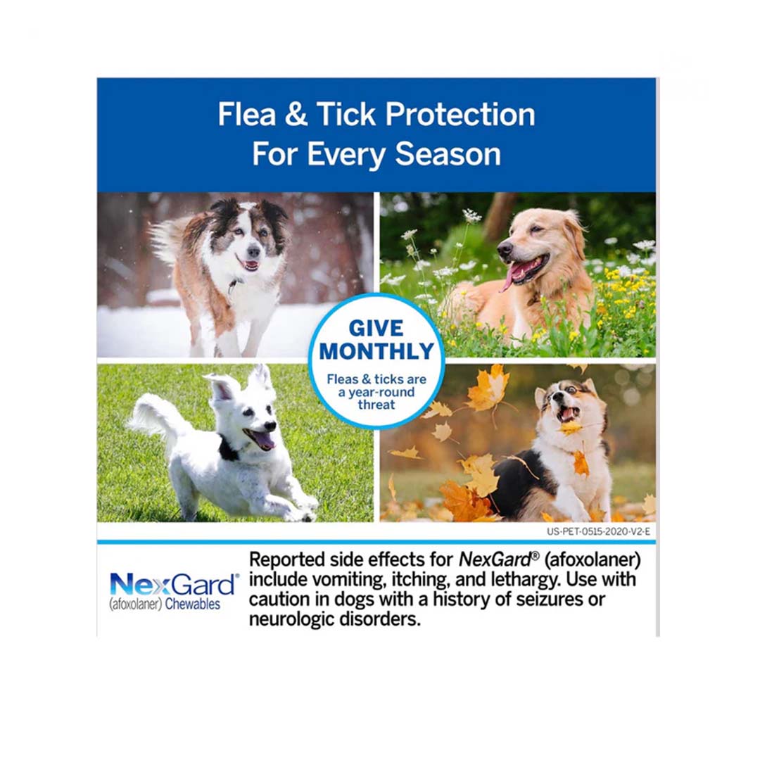 NexGard - Chewable Pill  2/4kg (original)
