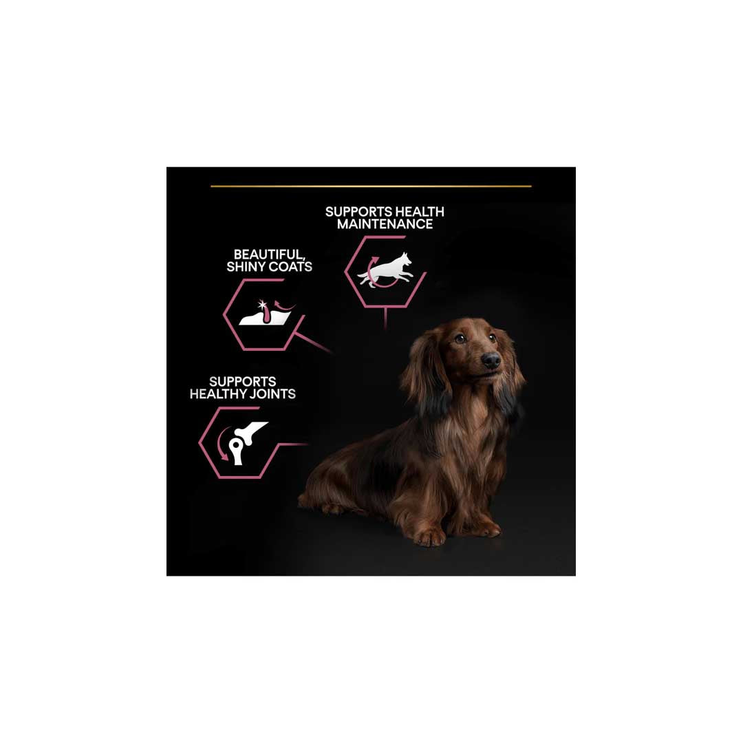 Purina Pro Plan - dog Sensitive Skin Small and Mini Adult, Dry Dog food with Salmon 3kg