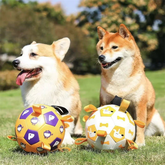 Soccer Ball - Dog Toy