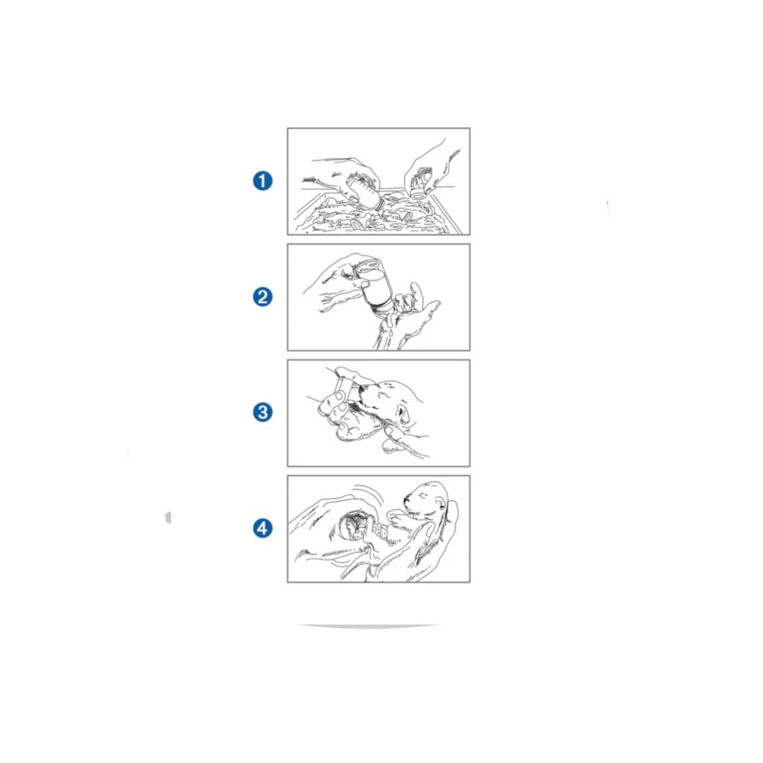 Trixie - Suckling Bottle Set For Kittens & Puppies