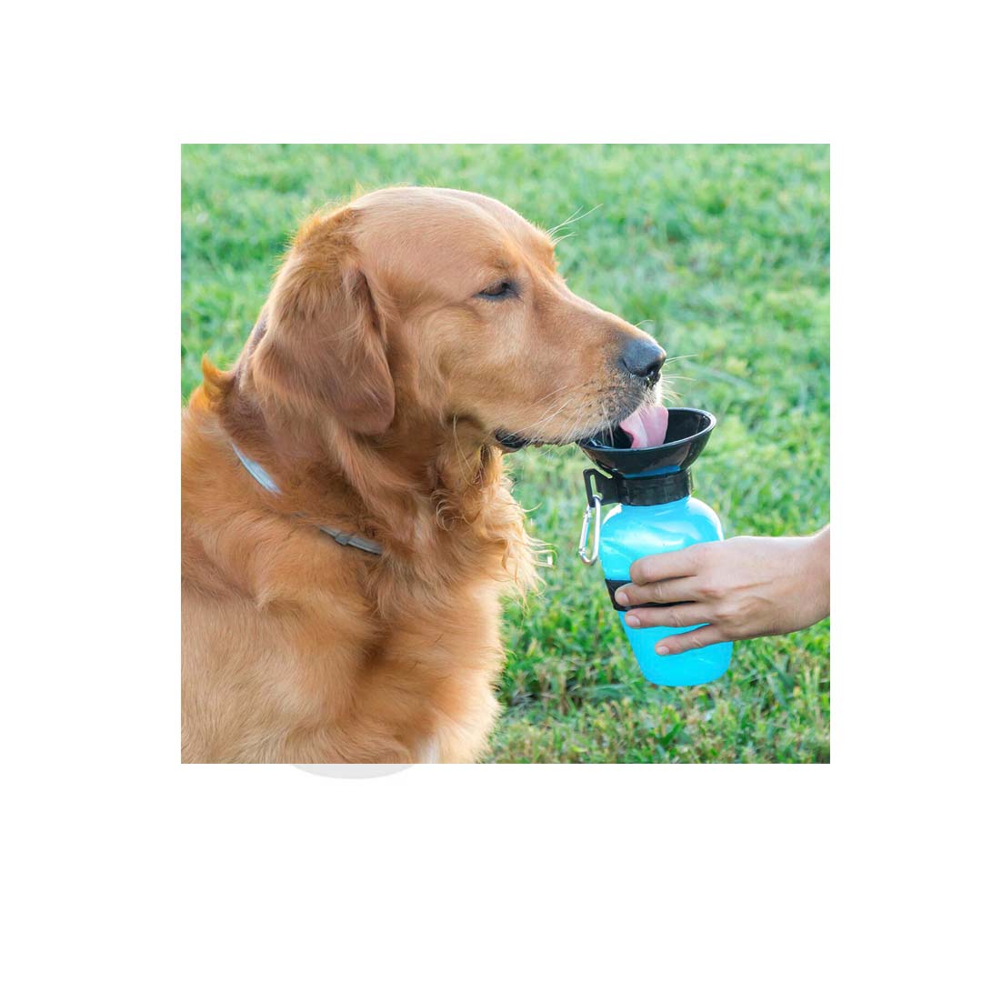 Trixie - Bottle With Drinking Bowl 550ml