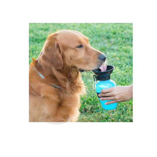 Trixie - Bottle With Drinking Bowl 550ml