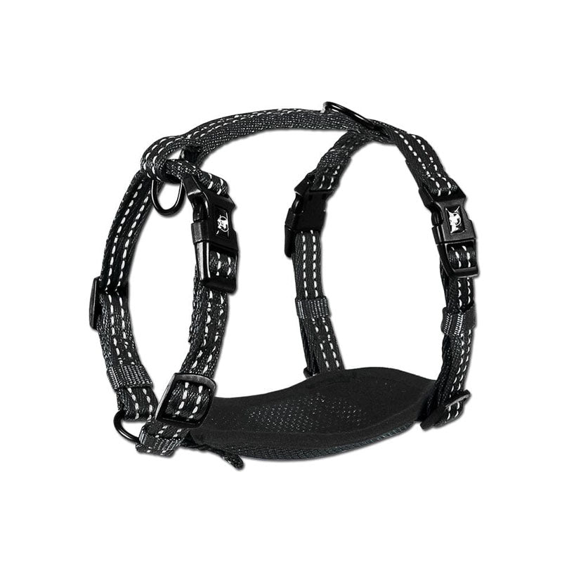 Alcott - Harness