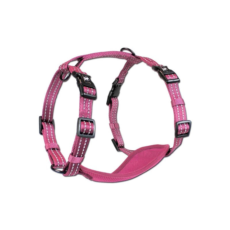 Alcott - Harness