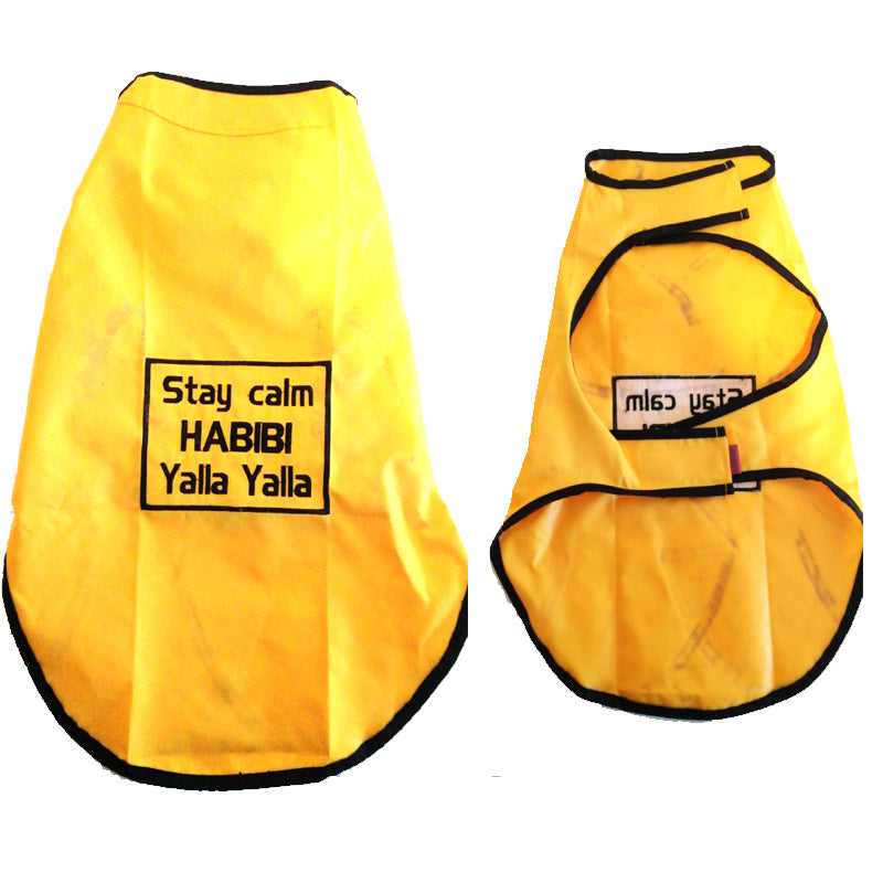 Raincoat sarina's pet clothes