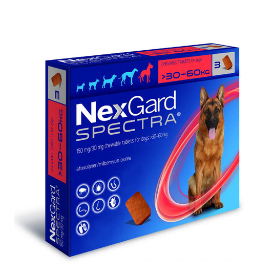 NexGard - Spectra Chewable Pill 30/60kg (original)