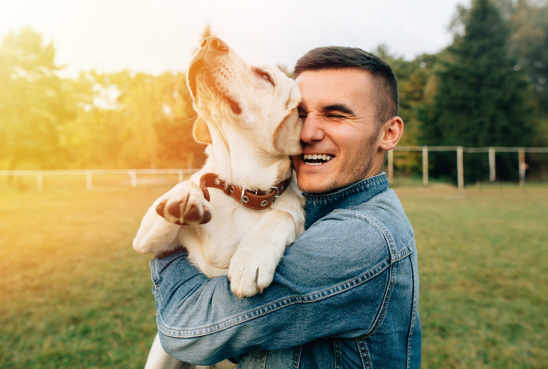 Relationship between Humans and Pets