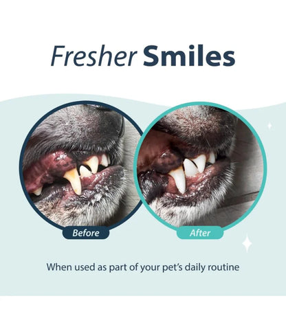 Synergy Labs - Dental Fresh, Water Additive, Original Formula for Dogs & Cats - Whitening, Breath Freshening, Oral Health Support - 503mL