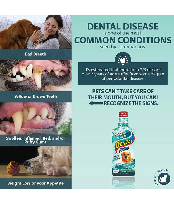 Synergy Labs - Dental Fresh, Water Additive, Original Formula for Dogs & Cats - Whitening, Breath Freshening, Oral Health Support - 503mL