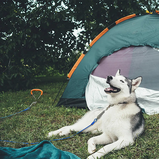 Petbobi - Dog Tie-out Cables & Stakes outdoor