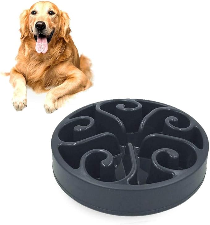slow feeder - dog bowl play with your food