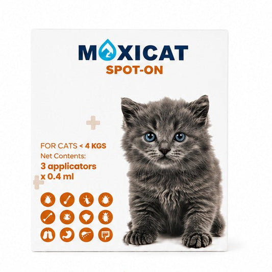Moxicat - spot-on for kitten <4kg
