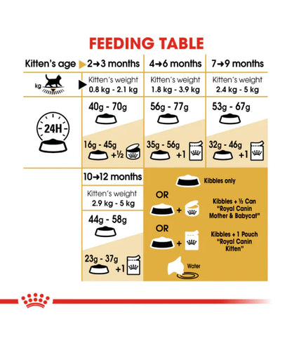 Royal Canin - British Shorthair Kitten - 2 kg