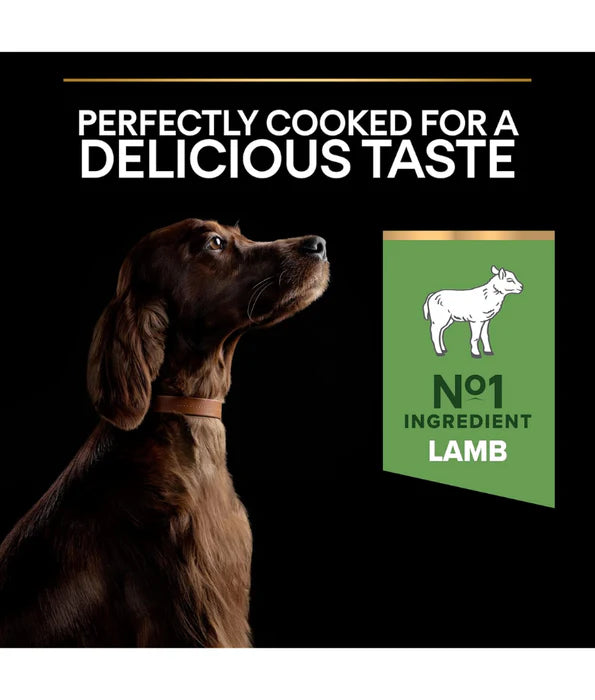 Purina Pro Plan - dog Puppy Large Athletic, Sensitive Digestion Dry Dog Food, Lamb - 12kg