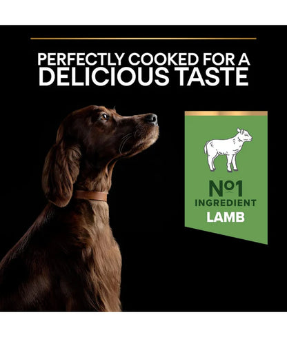 Purina Pro Plan - dog Puppy Large Athletic, Sensitive Digestion Dry Dog Food, Lamb - 12kg