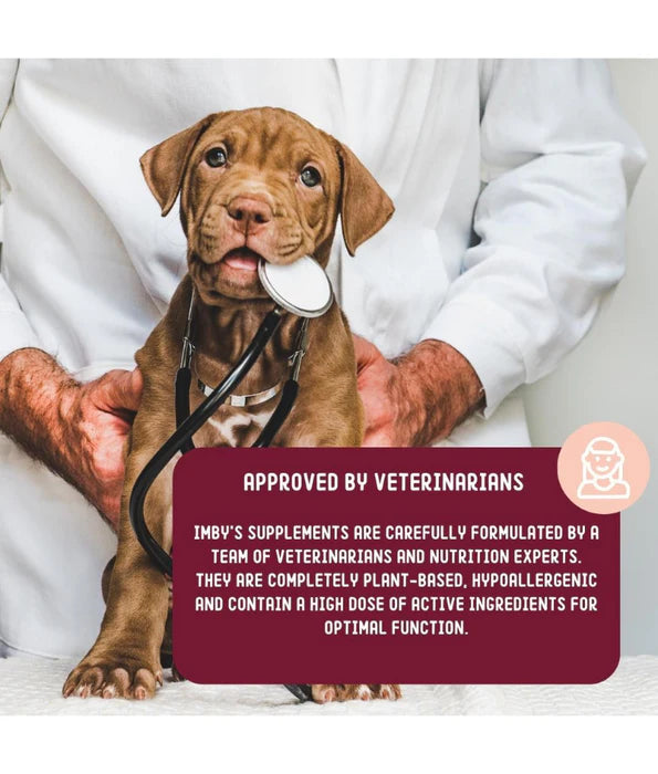 Imby - Skin Health Supplement, Reduces Shedding, Itching & Dry Skin - 90 Soft Chews