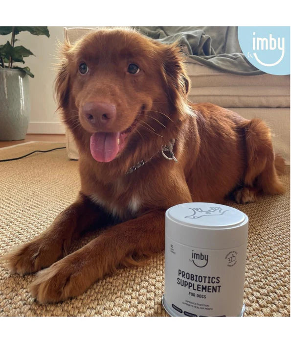 Imby - Probiotics Supplement, Improves Digestion, Reduces Gas & Supports Healthy Poops - 90 Soft Chews