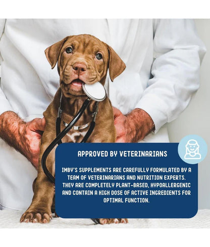 Imby - Probiotics Supplement, Improves Digestion, Reduces Gas & Supports Healthy Poops - 90 Soft Chews