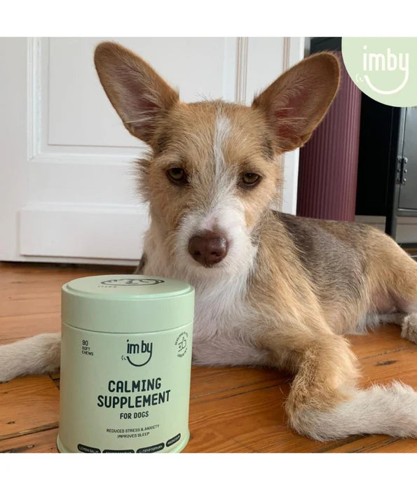 Imby - Calming Supplement, Reduces Stress & Anxiety, Improves Sleep - 90 Soft Chews