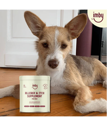 Imby - Allergy & Itch Supplement, Colostrum, Probiotics, Quercetin, Allergy Relief & Digestive Support - 90 Soft Chews