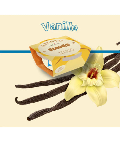 Gosbi - dog Flowis Gelato, Vanilla Flavor, Frozen Treat for All Dogs - 40g