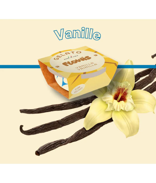 Gosbi - dog Flowis Gelato, Vanilla Flavor, Frozen Treat for All Dogs - 40g