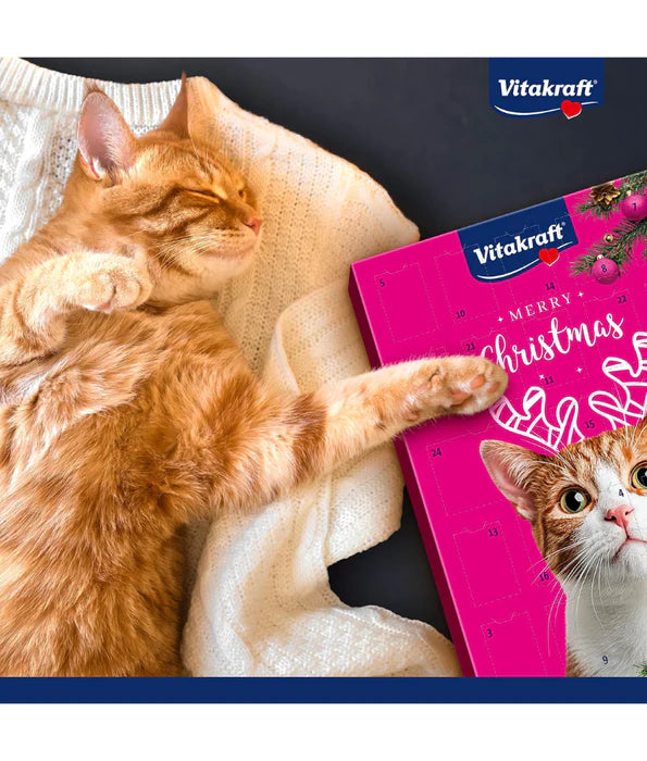 Vitakraft - cat Advent Calendar for Cats 2025, Premium Christmas Cat Treat Calendar - 24 Daily Snacks