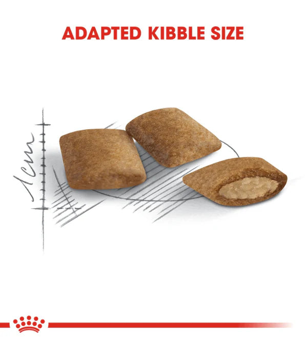 Royal Canin - Cat Ageing +12 2kg